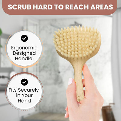 The Smooth Body Brush