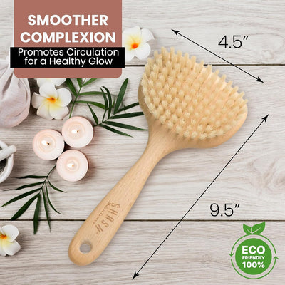 The Smooth Body Brush